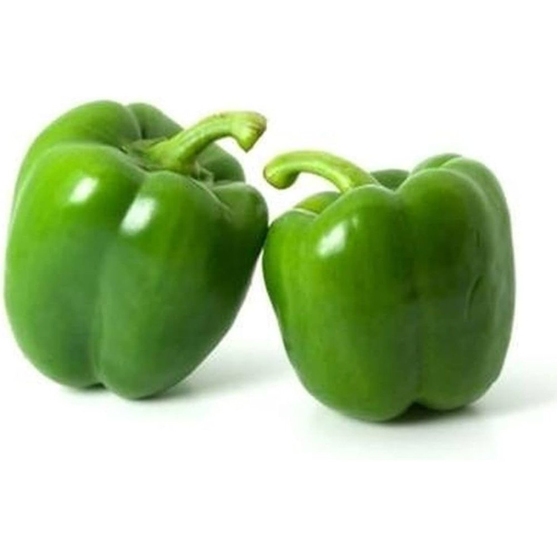 capsicum-green