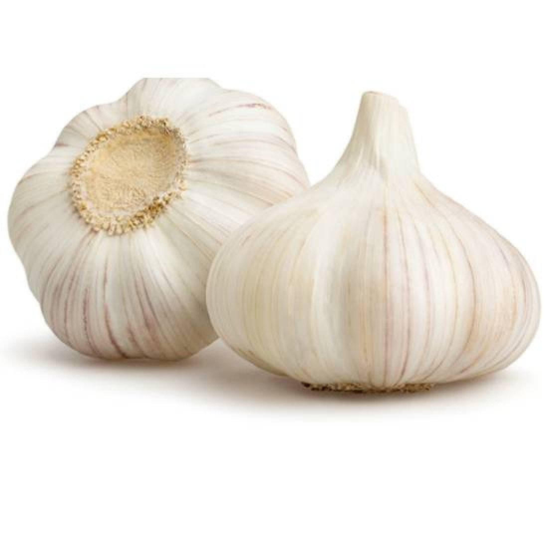 fresh_garlic