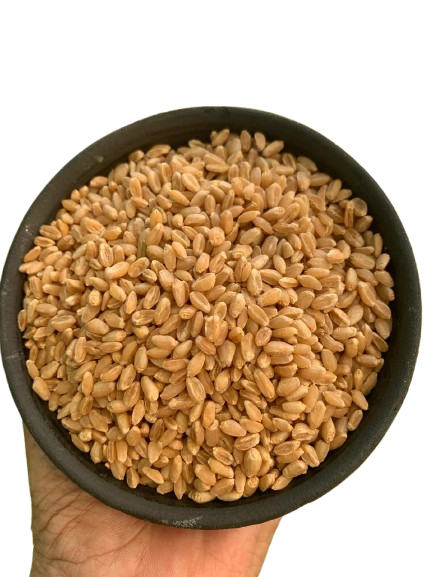 sharbatiwheat1-removebg-preview