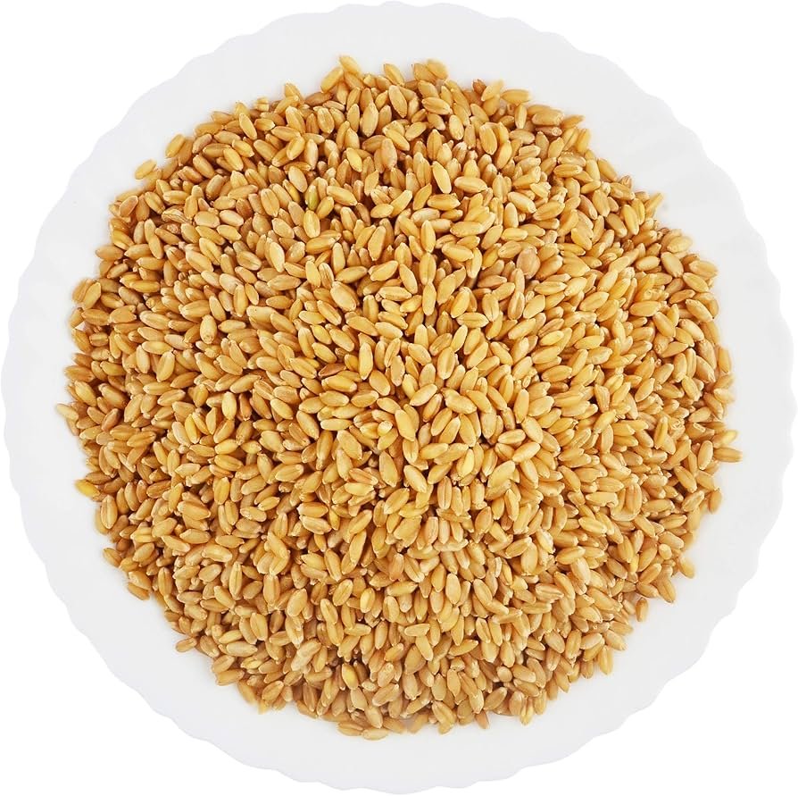Lokwan Wheat