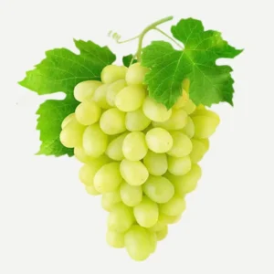 GREEN GRAPES