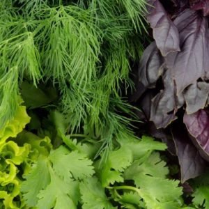 Leafy Veggies & Herbs